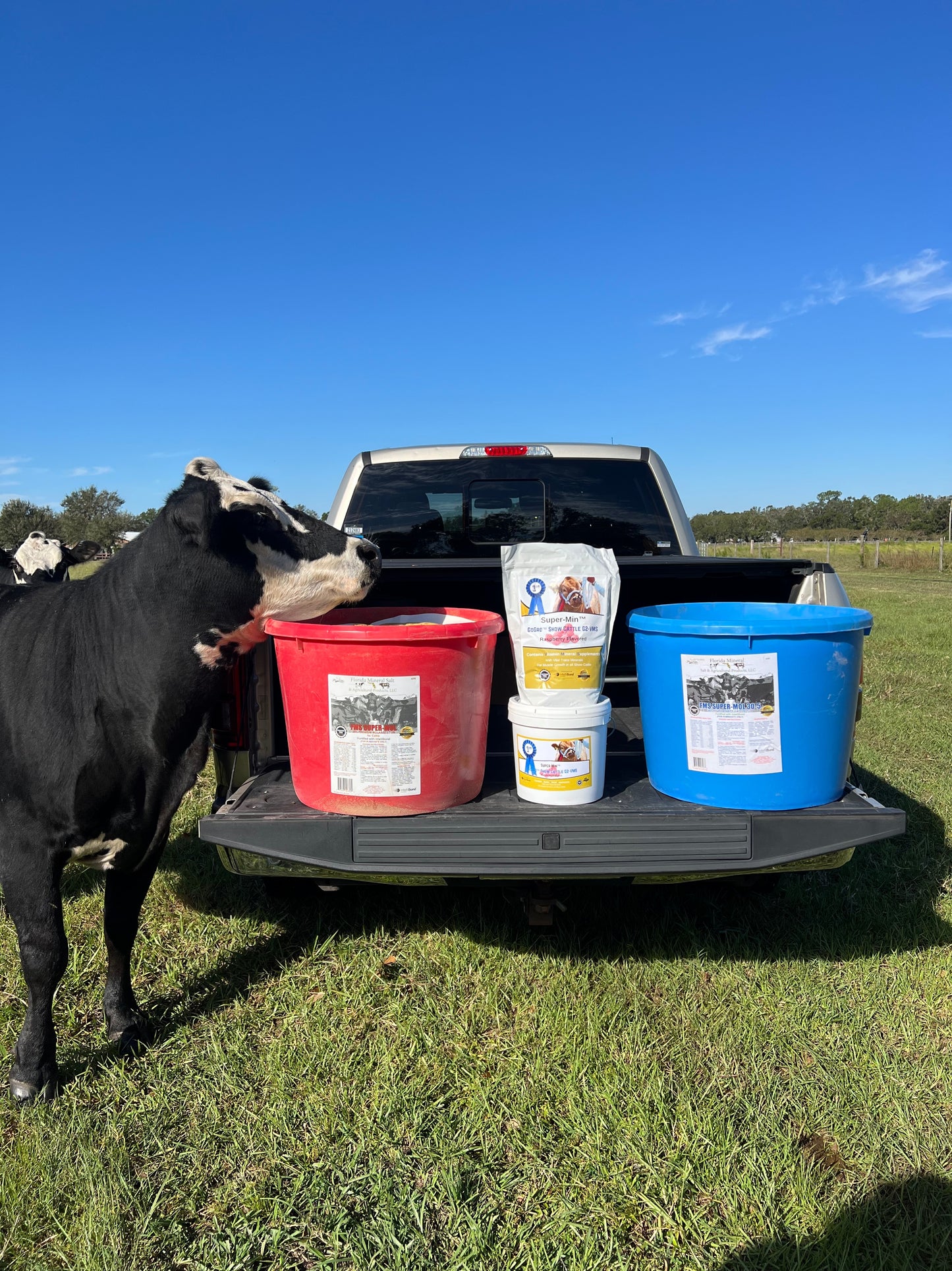 Super-Mol 30-5 30% High Density Molasses for Cattle (200lb Tub)