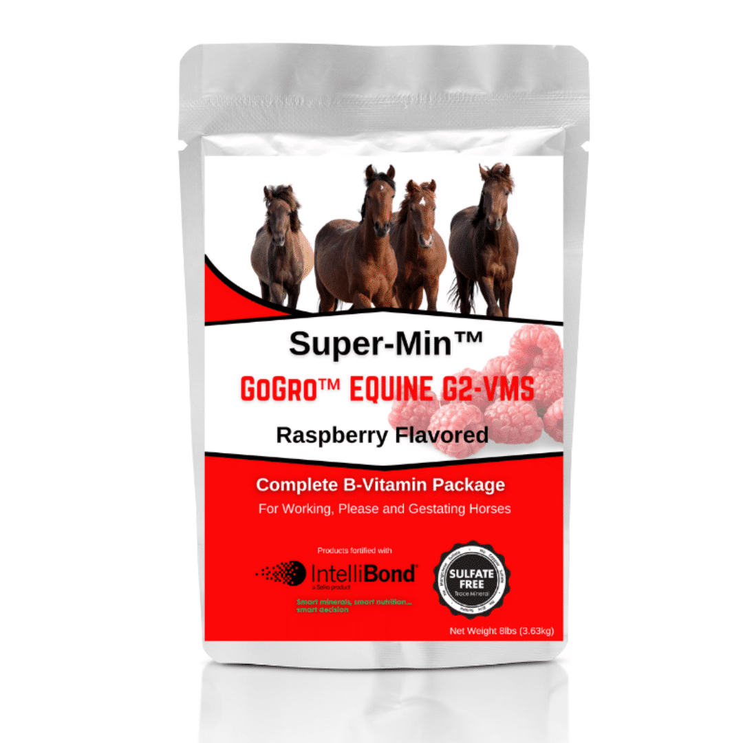 Super-Min™ GoGro™ Equine G2-VMS – Raspberry Flavored Mineral Supplement for Equine Net Weight: 8lbs (3.63kg)