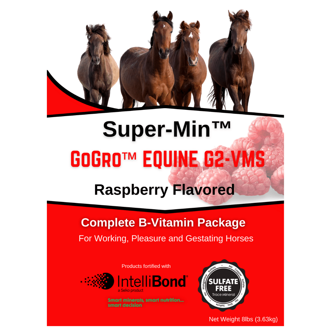 Super-Min™ GoGro™ Equine G2-VMS – Raspberry Flavored Mineral Supplement for Equine Net Weight: 8lbs (3.63kg)