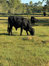 Florida Mineral Salt and Agricultural Products