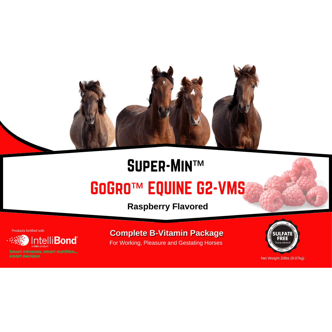 SuperMin™ GoGrow™ Equine G2VMS Larger 20lb Size for Larger Operati