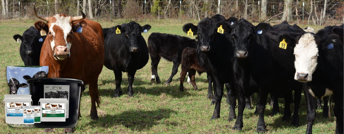 Florida Mineral Salt and Agricultural Products