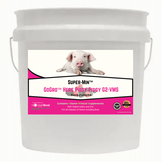 Super-Min™ GoGro™ Here Piggy Piggy G2-VMS (20lb Economy Pail)