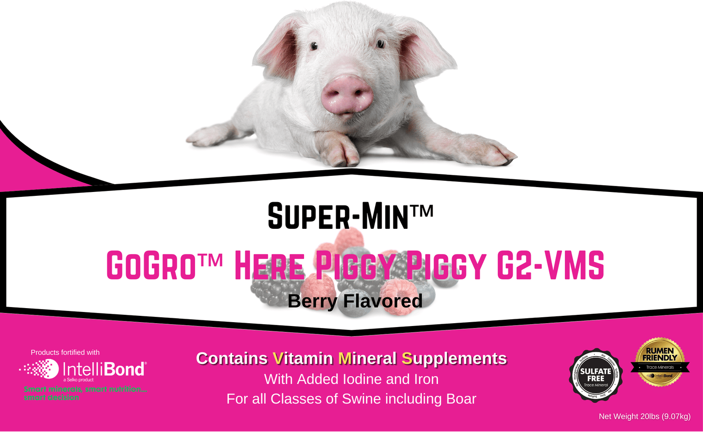 Super-Min™ GoGro™ Here Piggy Piggy G2-VMS (20lb Economy Pail)